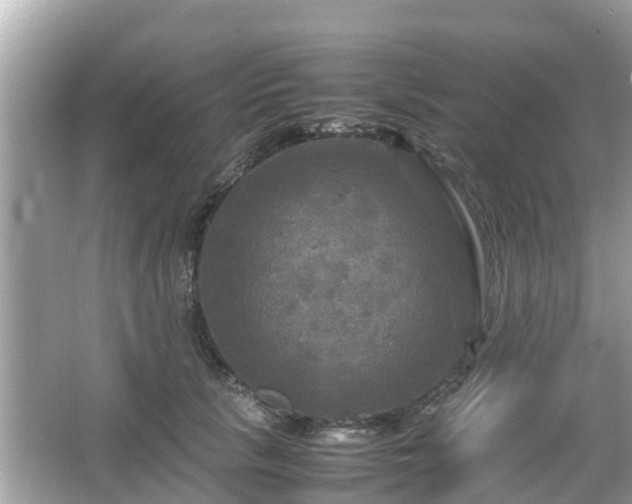 X0000066000657200603101532