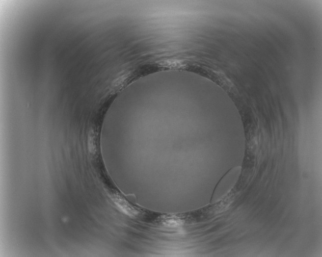 X0000066000658200603101532