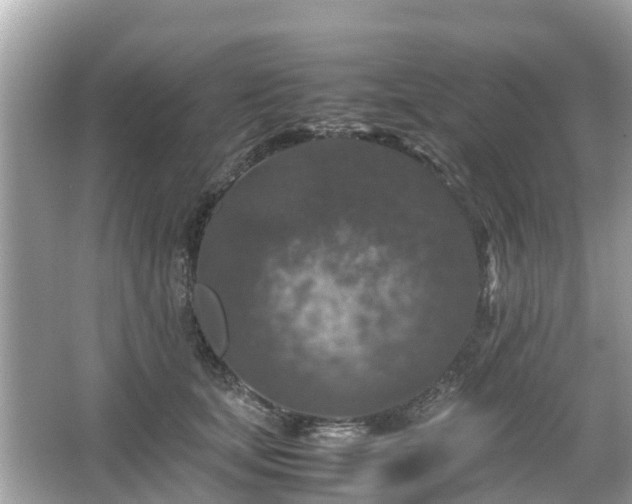 X0000066000659200603101532