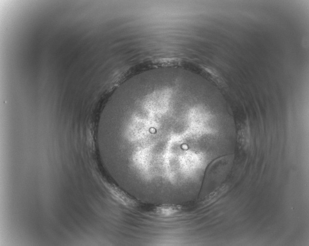 X0000066000662200603101532