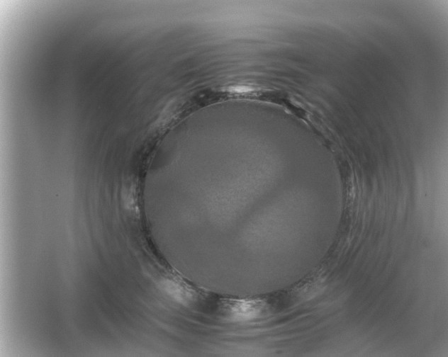 X0000066000663200603101532