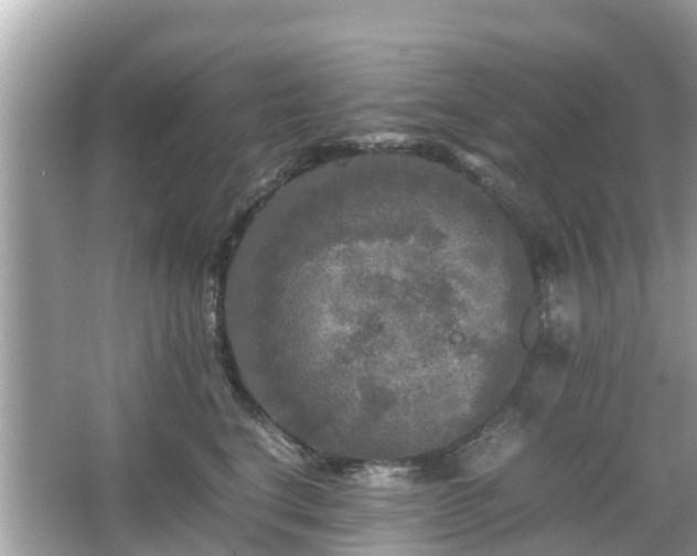 X0000066000664200603101532