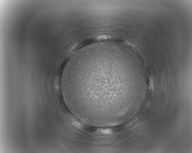 X0000066000665200603101532