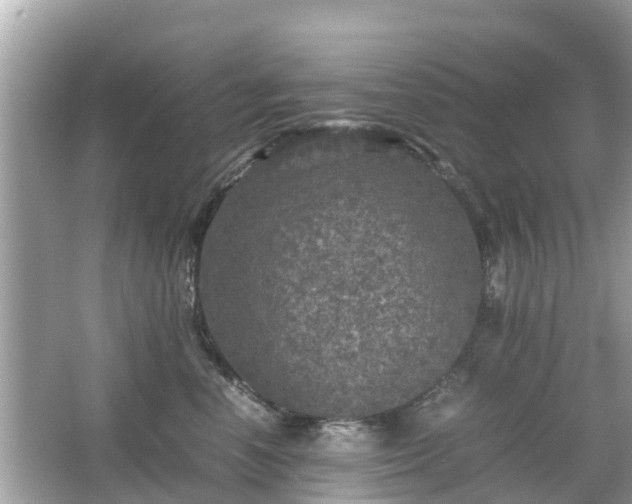 X0000066000666200603101532