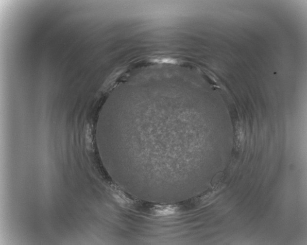 X0000066000667200603101532