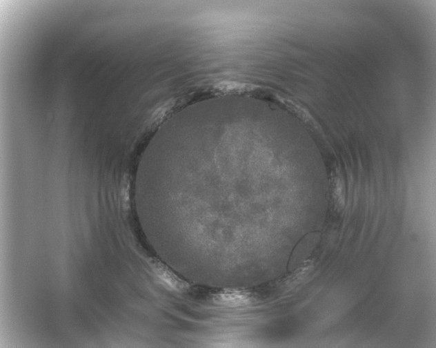 X0000066000668200603101532