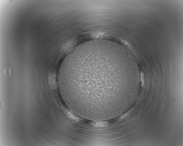 X0000066000670200603101532