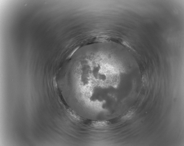 X0000066000671200603101532