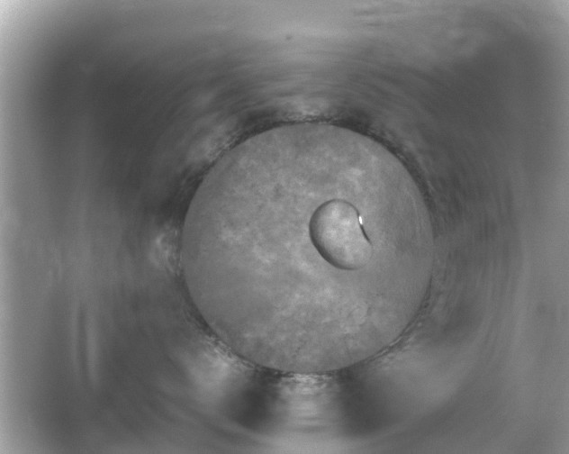 X0000066000672200603101532