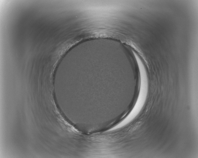 X0000066000673200603101531