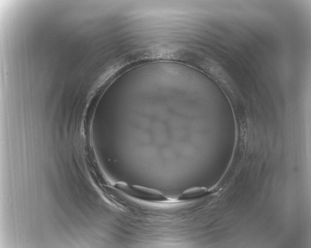 X0000066000674200603101531