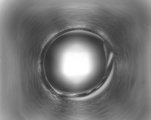 X0000066000676200603101531