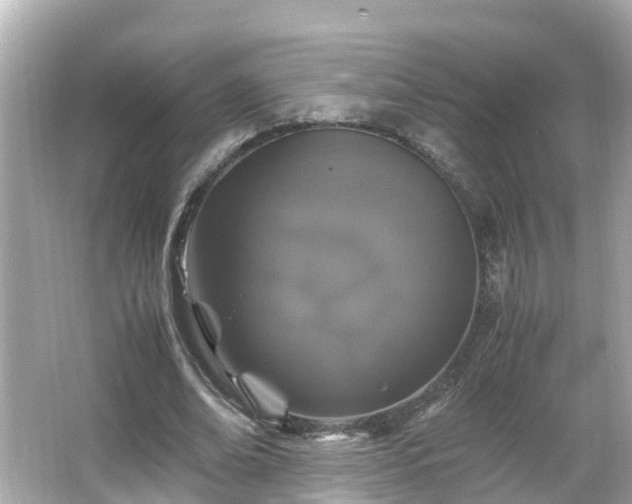 X0000066000678200603101531