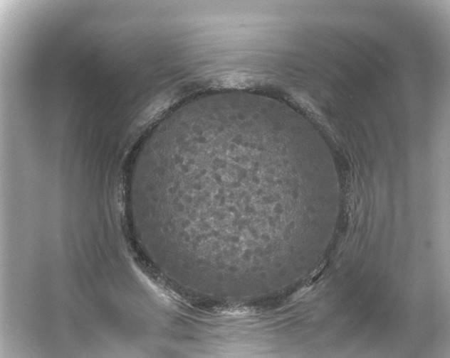 X0000066000683200603101531