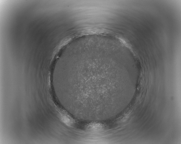 X0000066000685200603101531