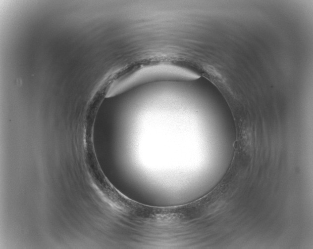 X0000066000686200603101531