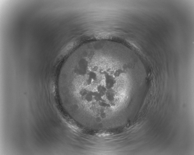 X0000066000687200603101531