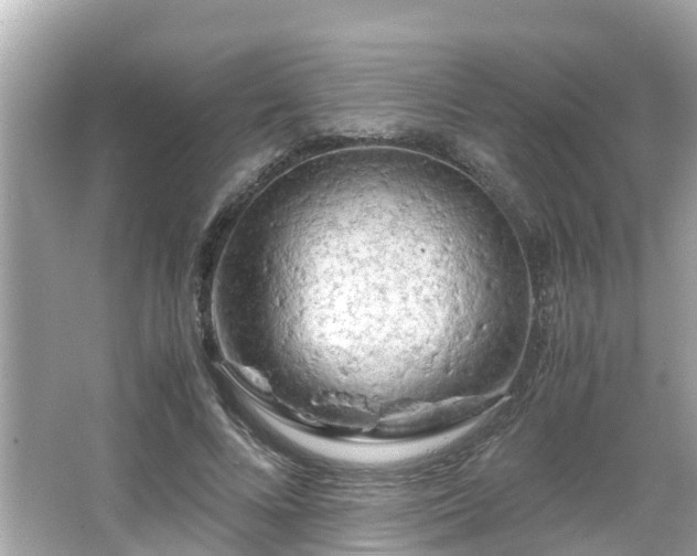 X0000066000688200603101531