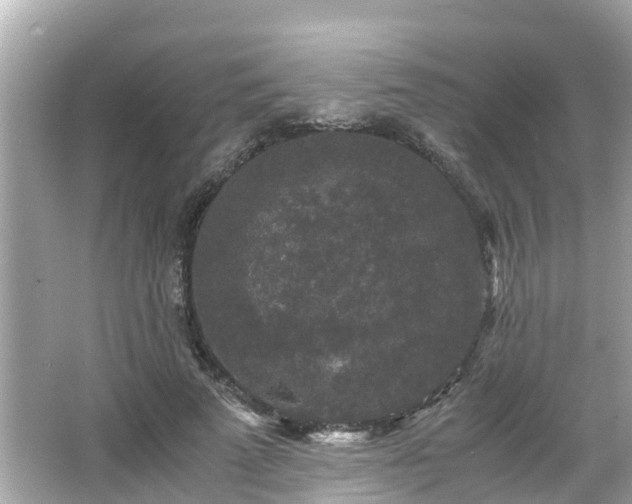 X0000066000689200603101531