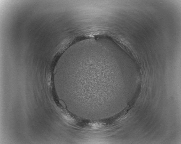 X0000066000693200603101531