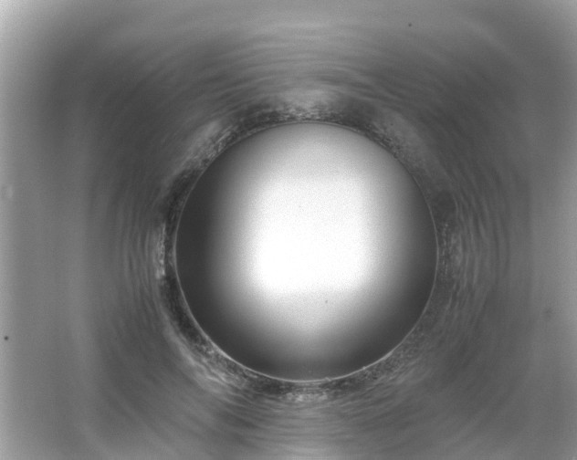 X0000066000694200603101531