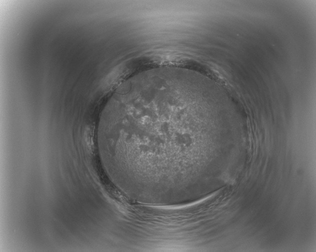 X0000066000695200603101531