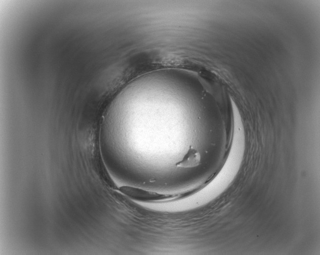 X0000066000697200603101531