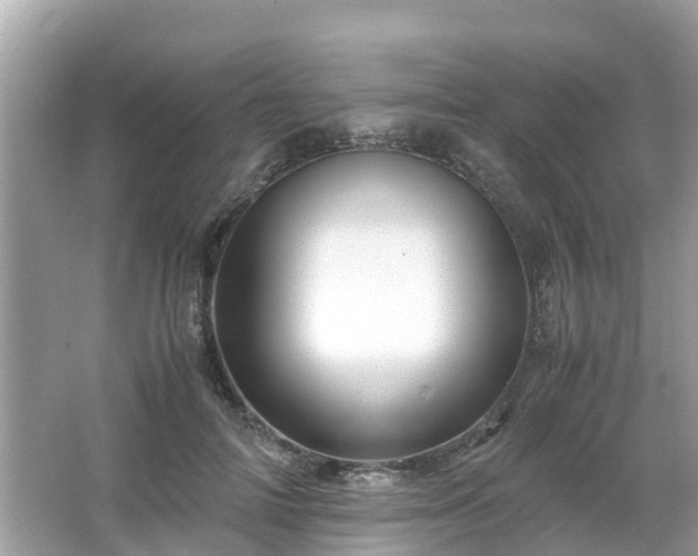 X0000066000698200603101531