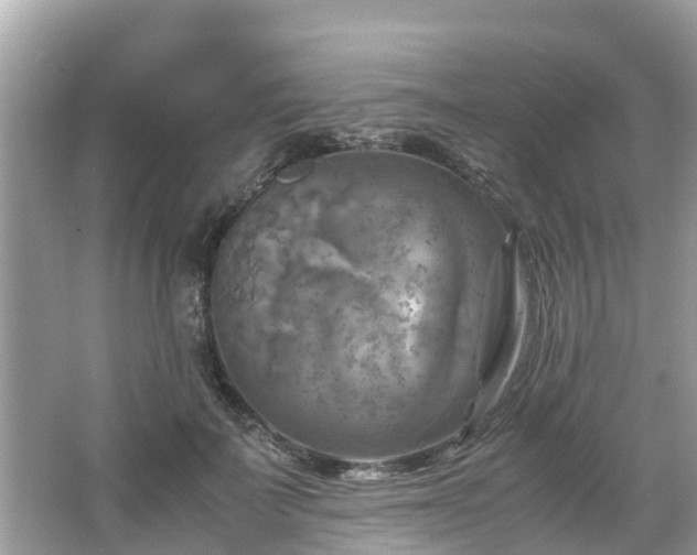 X0000066000699200603101531