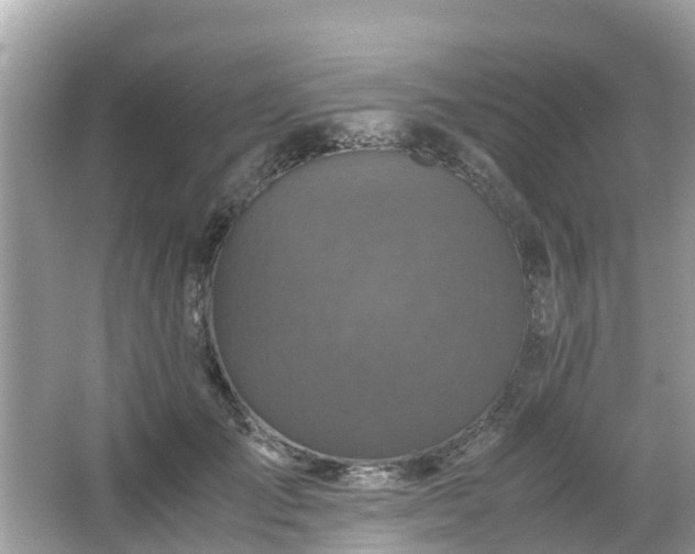 X0000066000701200603101531