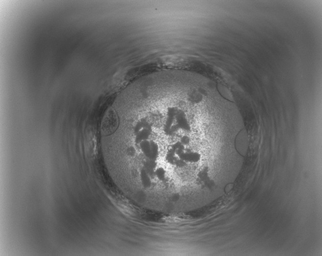 X0000066000703200603101531