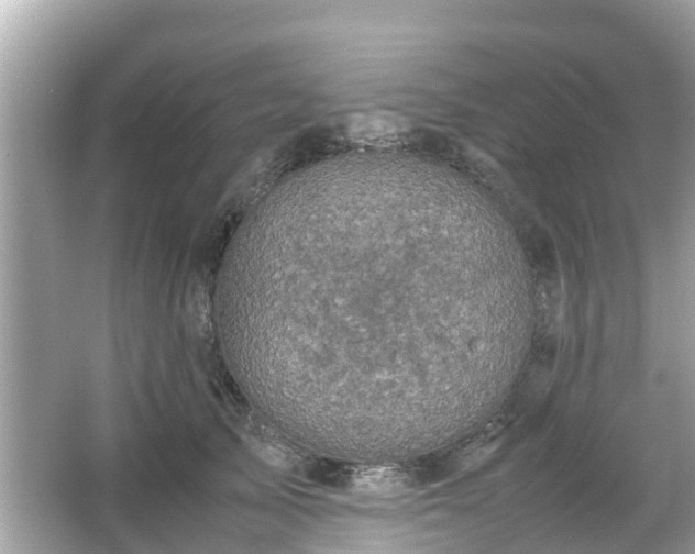 X0000066000705200603101531