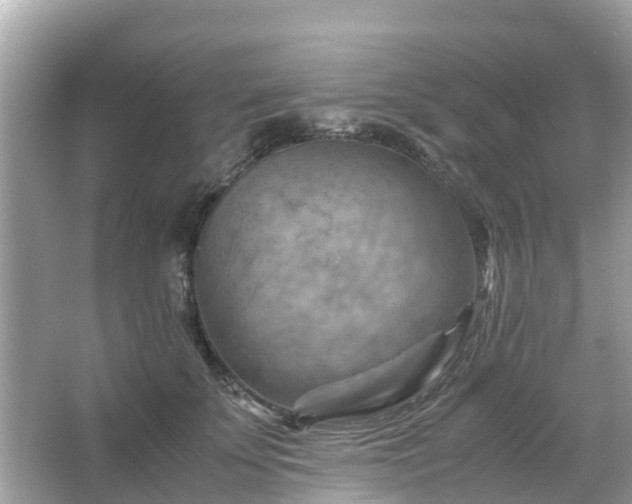 X0000066000707200603101531