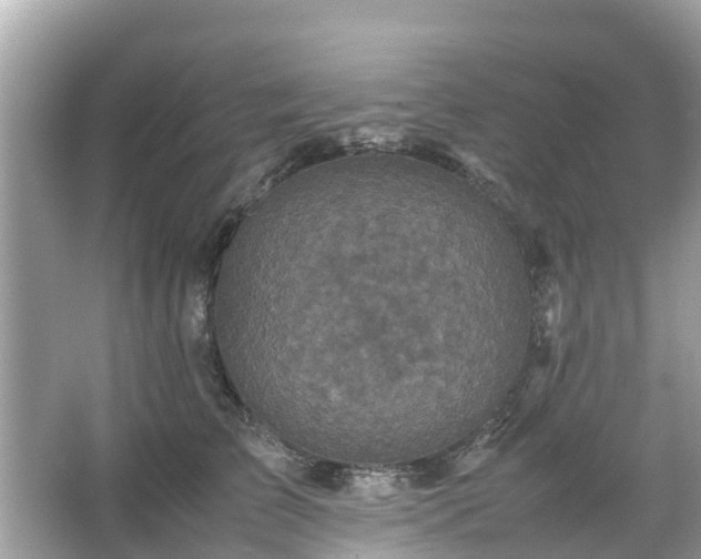 X0000066000709200603101531