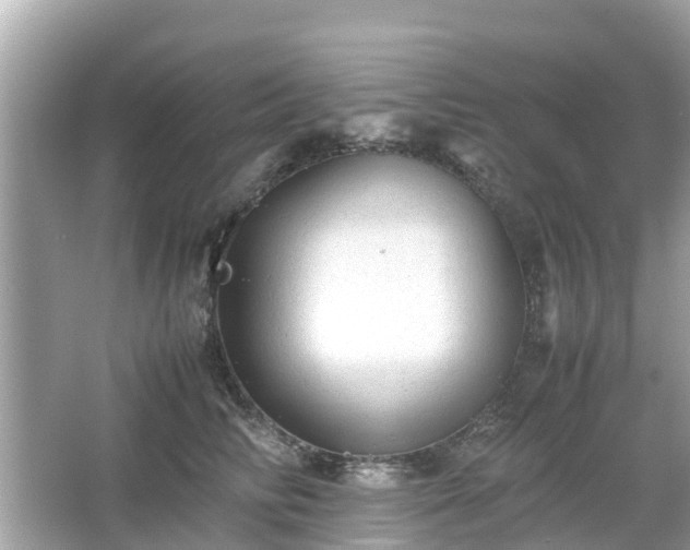 X0000066000710200603101531