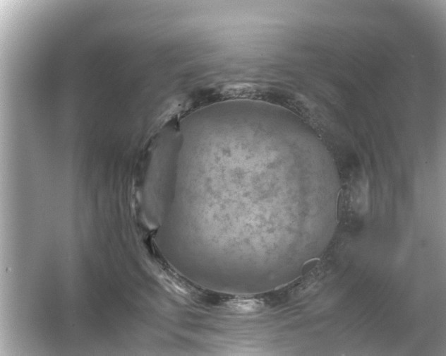 X0000066000711200603101531