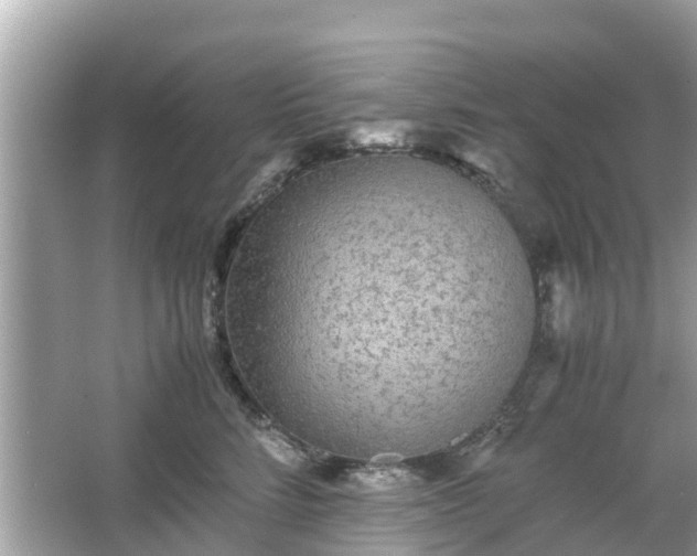 X0000066000712200603101531