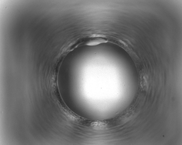 X0000066000714200603101531