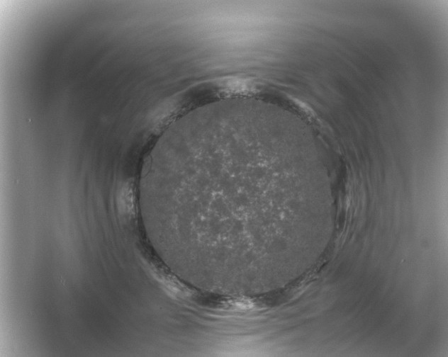 X0000066000715200603101531