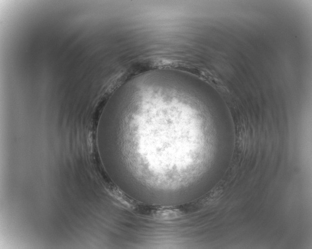 X0000066000716200603101530