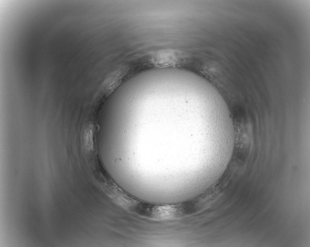 X0000066000717200603101530