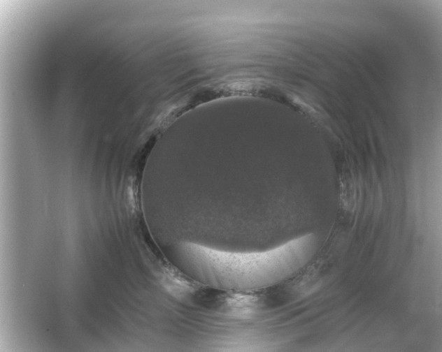 X0000066000718200603101530