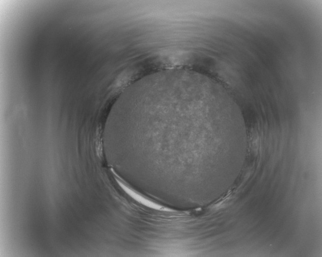 X0000066000719200603101530