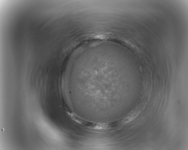 X0000066000720200603101530