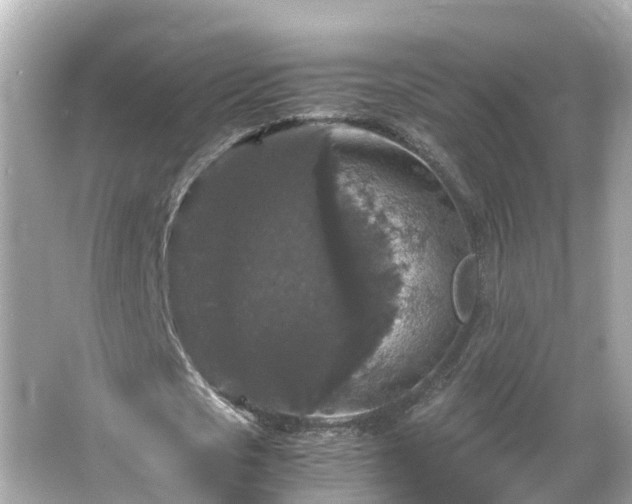 X0000066000721200603101530