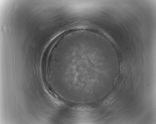 X0000066000722200603101530