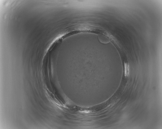 X0000066000723200603101530