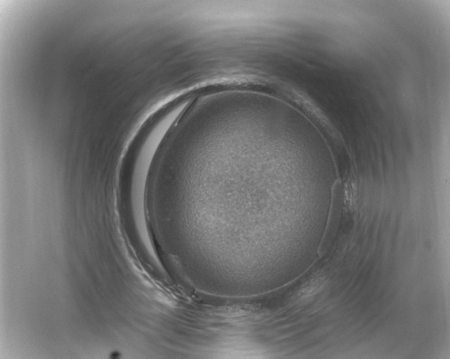 X0000066000724200603101530