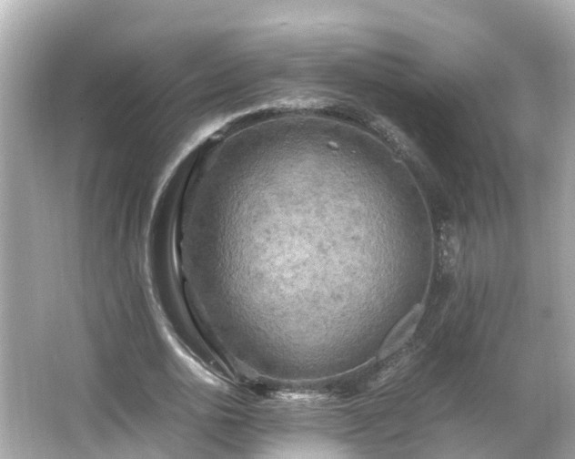 X0000066000726200603101530