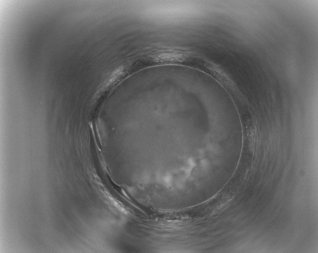 X0000066000729200603101530